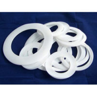 PTFE (TEFLON) Gaskets