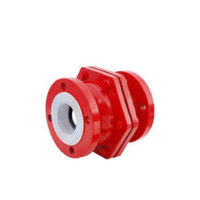 PTFE Lined Non Return Valve