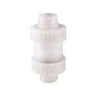 PVDF Ball Check Valve