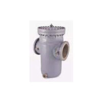 Basket Type Strainer
