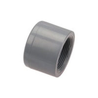 CPVC Threaded End Cap