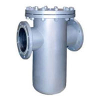Basket Type Strainer