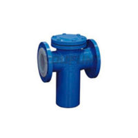 Basket Type Strainer