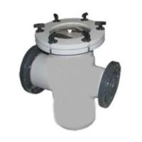 Basket Type Strainer