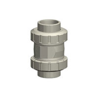 PPH Non Return Valve threaded