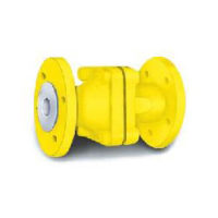 PTFE Lined Non Return Valve