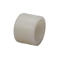 PVDF End Cap